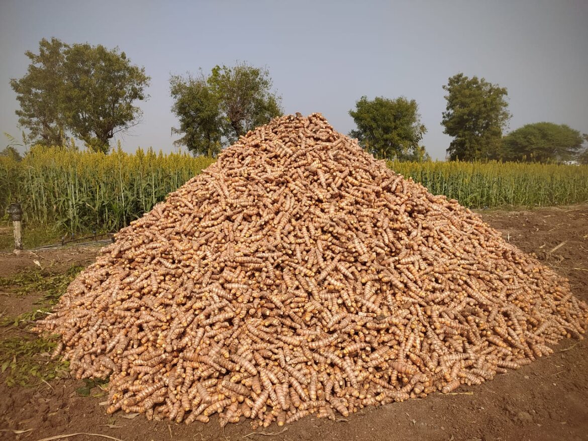 Turmeric Prices Increasing in Market