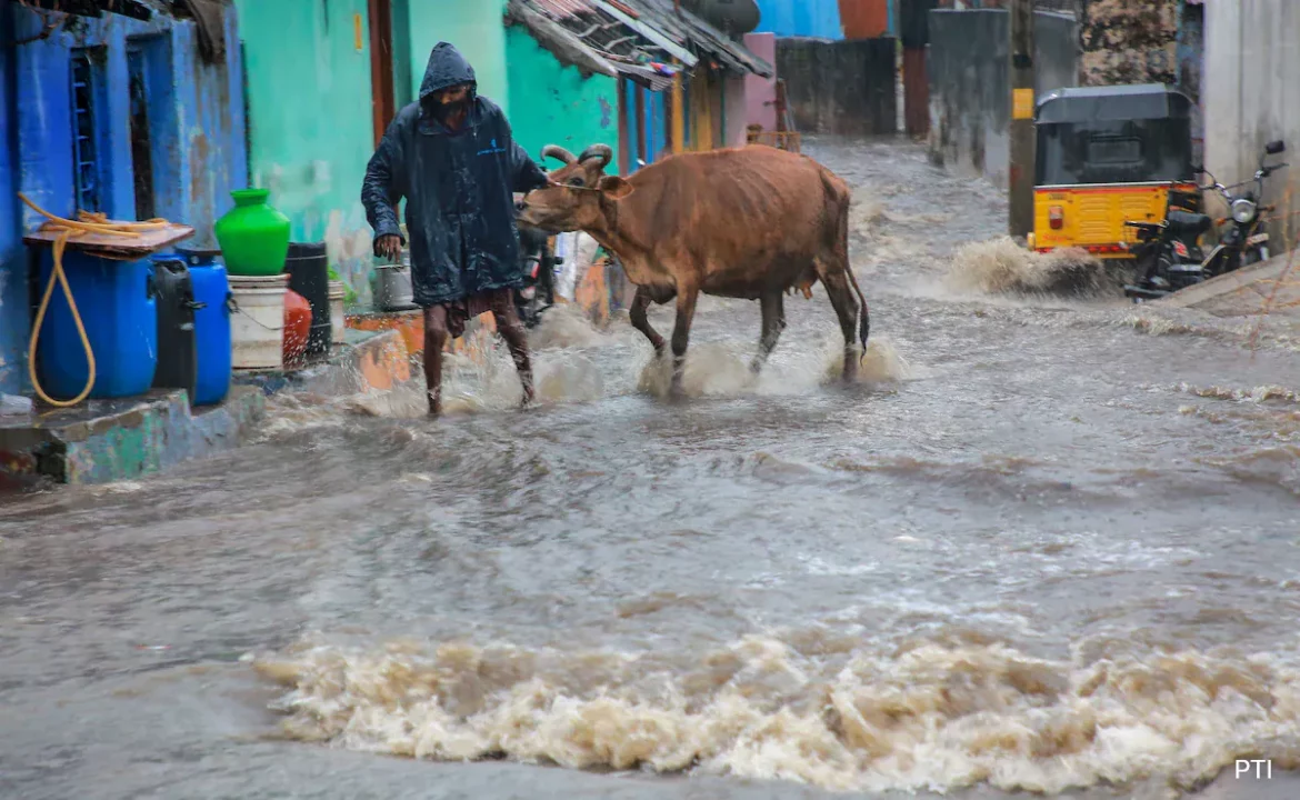Heavy Rains Battered in Tamilnadu