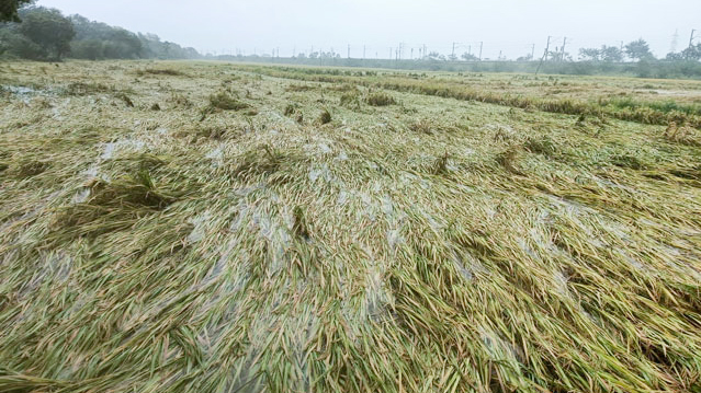 Floods in Ap: Heavy floods due to the impact of the storm.