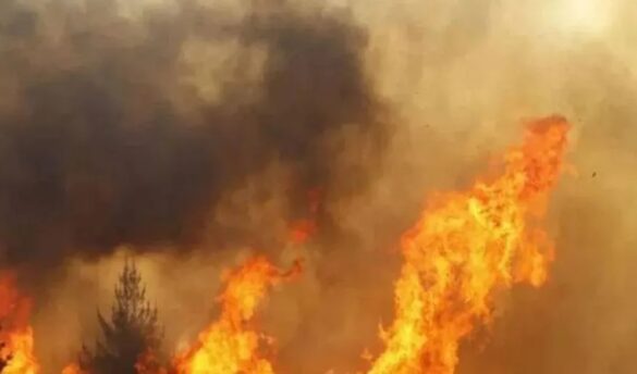 Pakistan: Violent attack by Palestinian supporters.. KFC restaurant set on fire..!