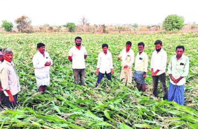 TS AP Rains: Relief for the city dwellers.. loss for the breadwinner..!