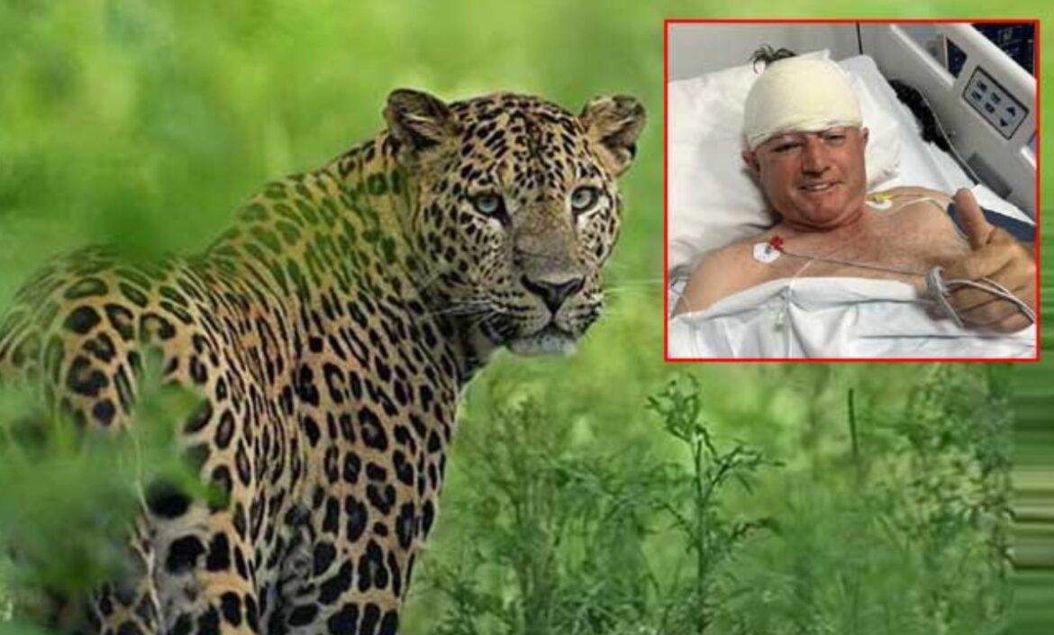Zimbabwe: Leopard attack on cricketer.. pet dog saved..!