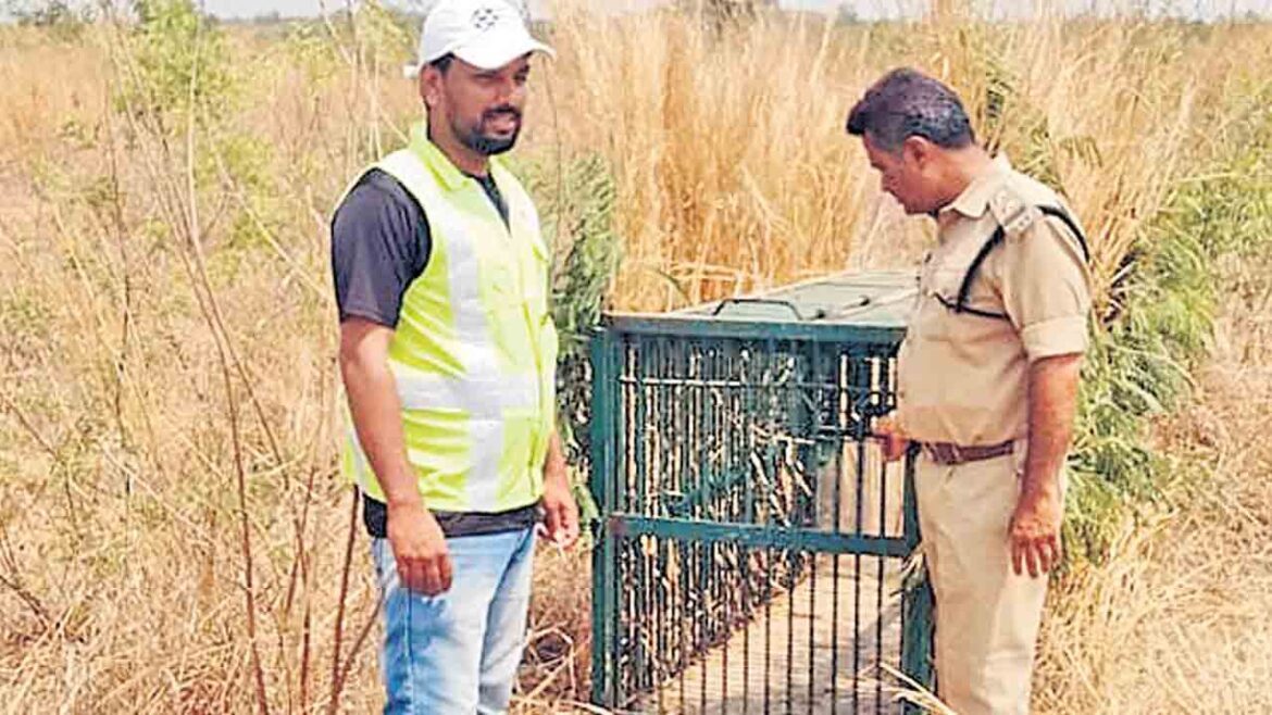 Operation Cheetah continues.. High alert continues in the vicinity of Shamshabad! Community-verified icon